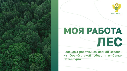 #МояРаботаЛес: Рассказы работников лесной отрасли из Оренбургской области и Санкт-Петербурга