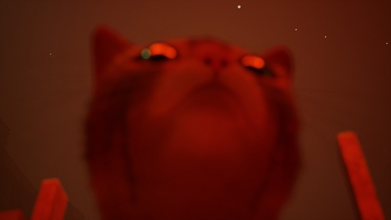  📷    Источник изображения: Steam (gu)