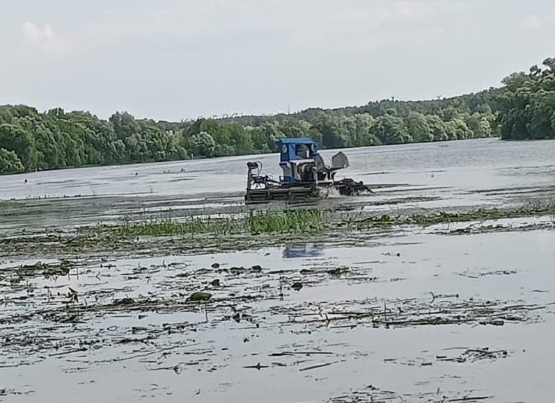    Фото: Минэкологии Московской области