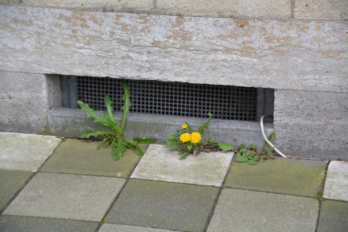 Продухи в фундаменте частного дома