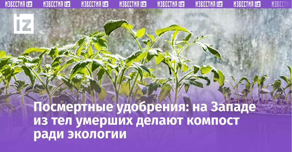 Фото: ИЗВЕСТИЯ/Константин Кокошкин 