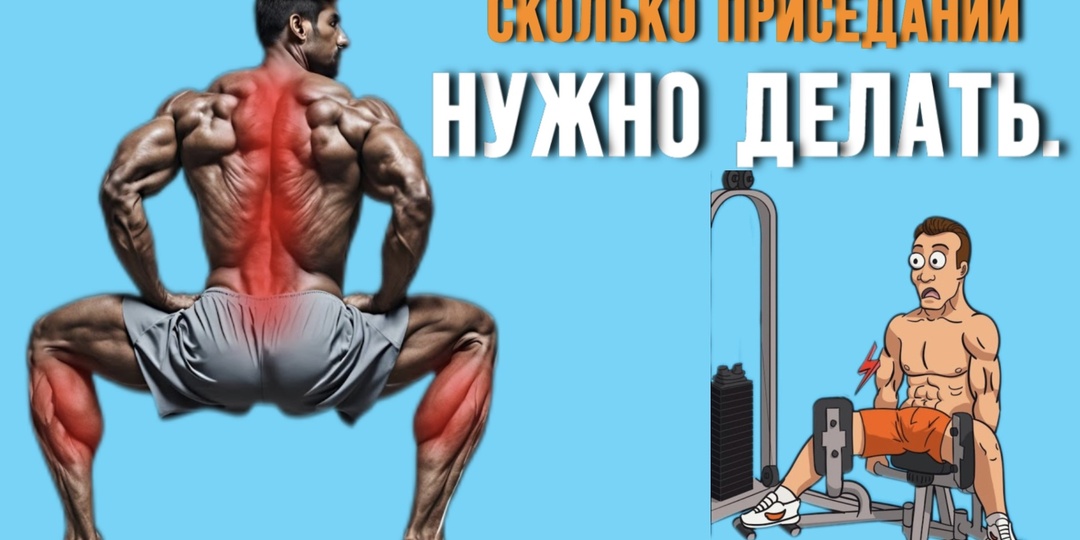 Сколько приседаний нужно делать в день, чтобы нарастить мышечную массу (пошаговое руководство)