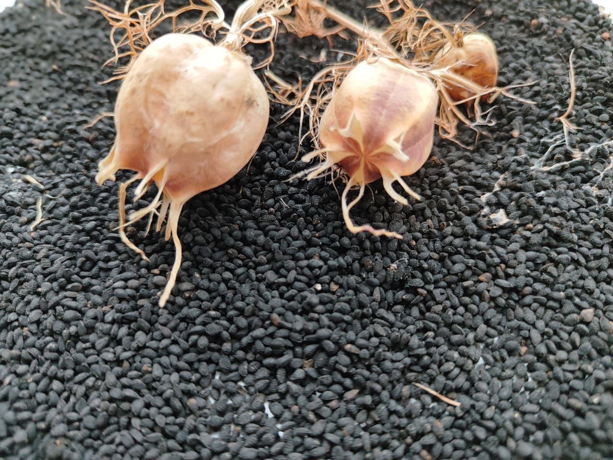 Фото: пресс-служба Минсельхоза РК