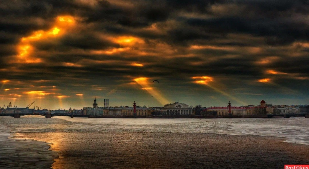 Яндекс