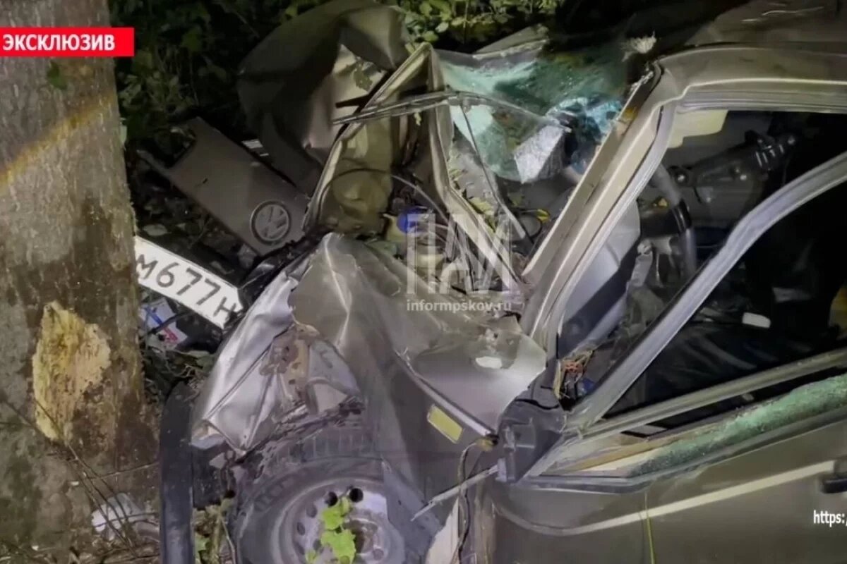    Водителя иномарки госпитализировали после ДТП с лосем в Островском районе