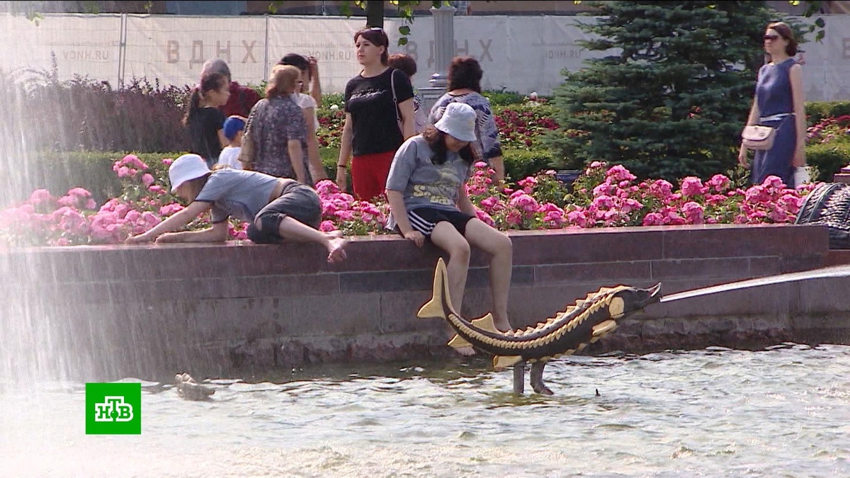    До 29 градусов ожидается в Москве 13 сентября