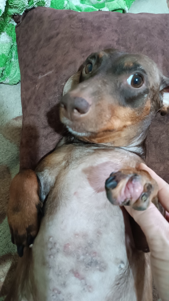 Это нас снова сыпет. 