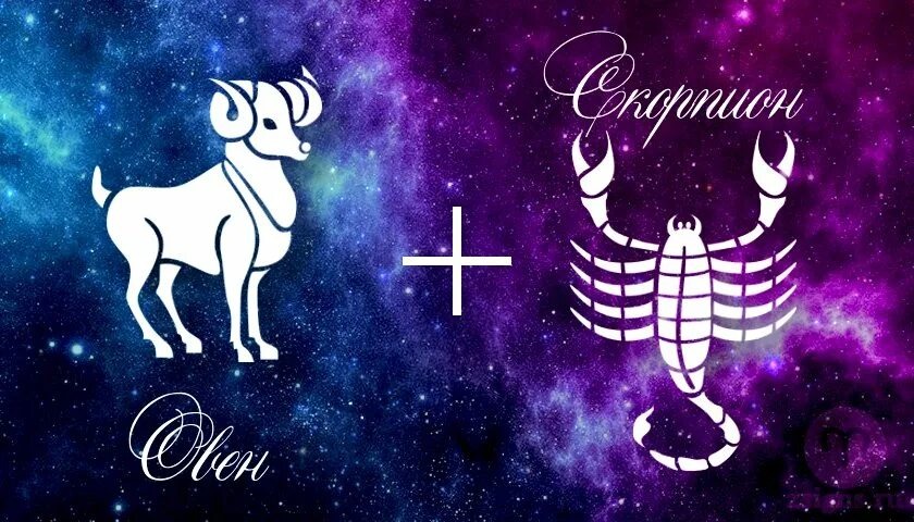 Овен и Скорпион