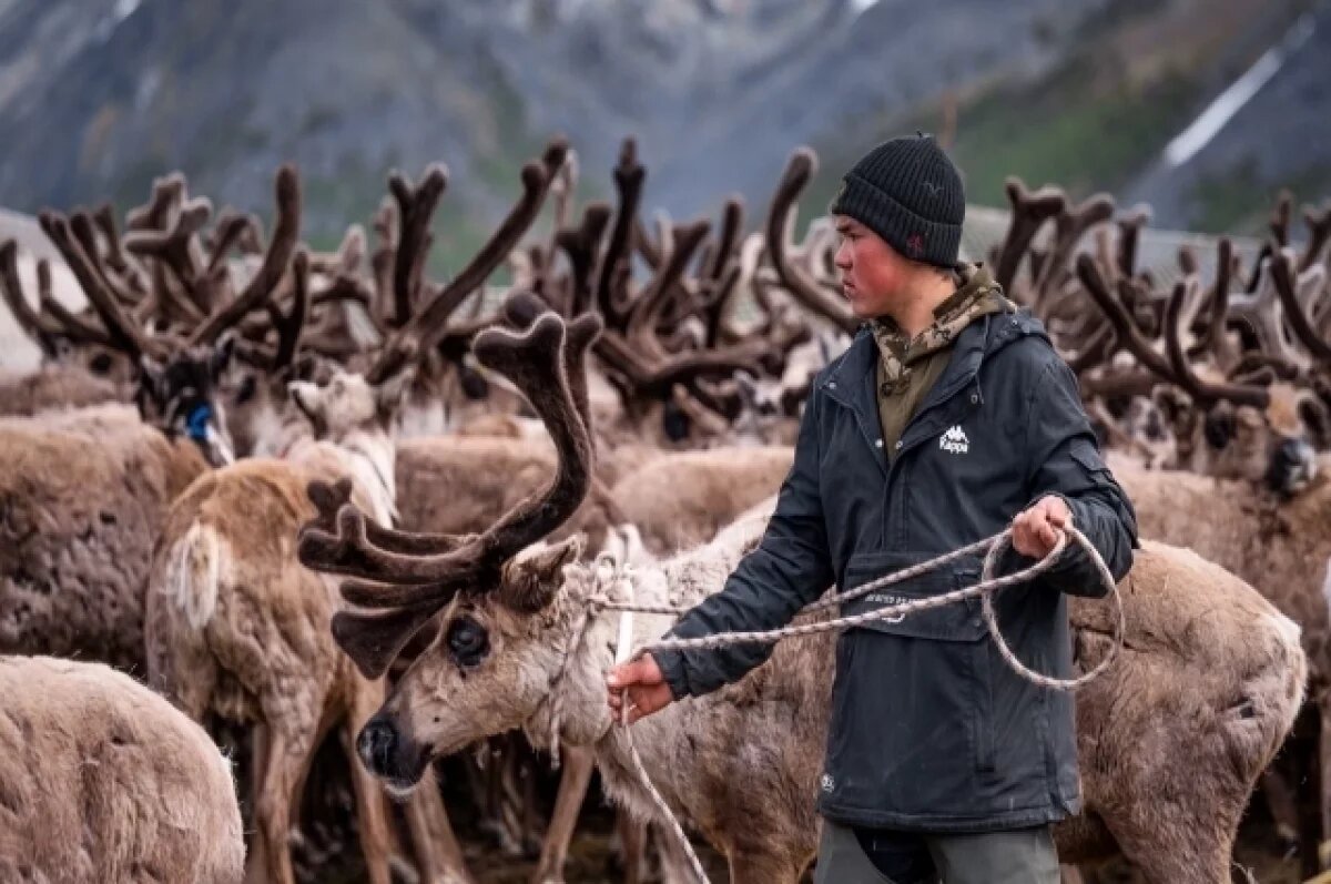    Студенты из кочевых семей могут получить целевую образовательную субсидию