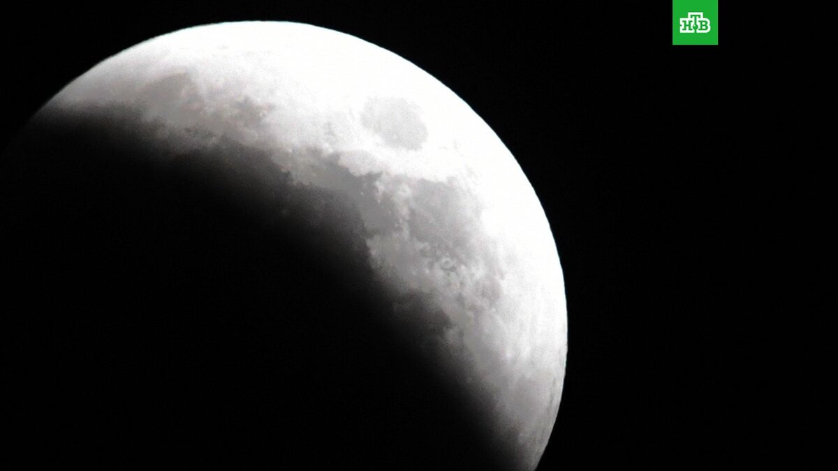    Фото: РИА Новости © 2024, Виталий Аньков