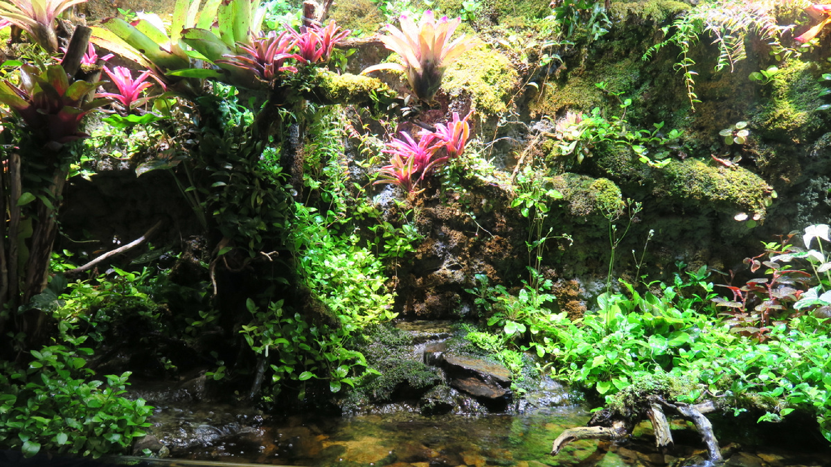 Живая картина. Здесь и далее фото автора.