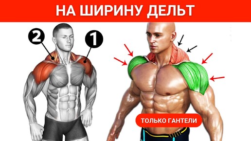 Download Video: 5 отличных упражнений на плечи в домашних условиях (Нужны только гантели)