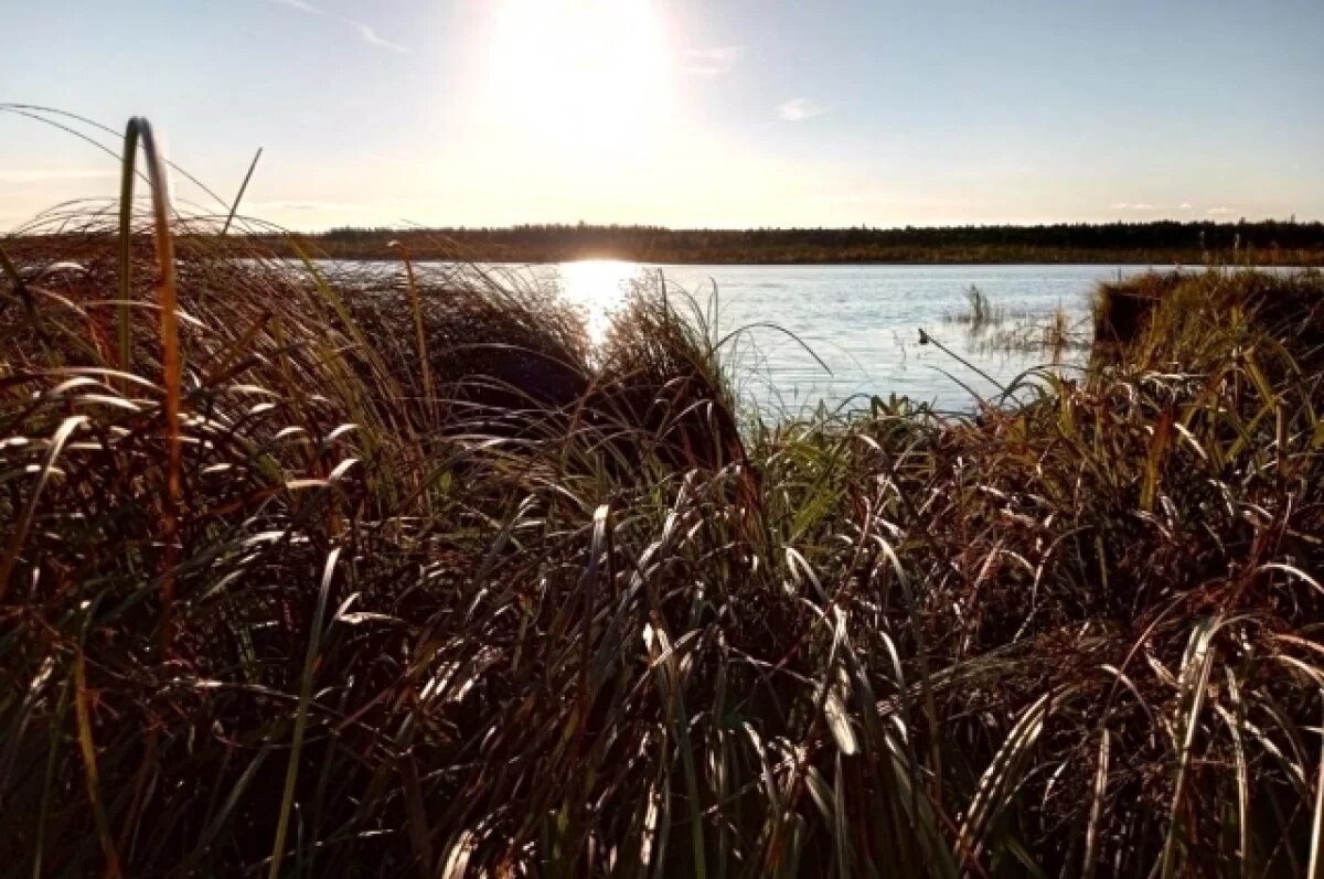    В предстоящие выходные в Ярославле прогнозируют до +25 градусов