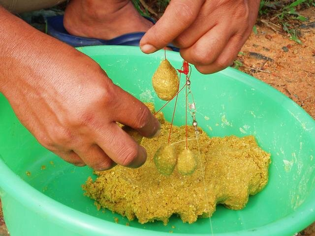 Фото с сайта: https://avatars.dzeninfra.ru