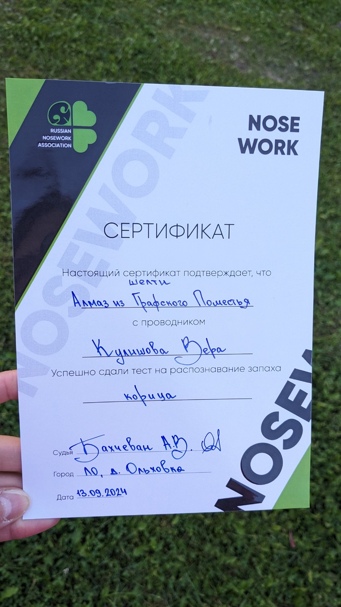 Сертификат Грогу 🐾