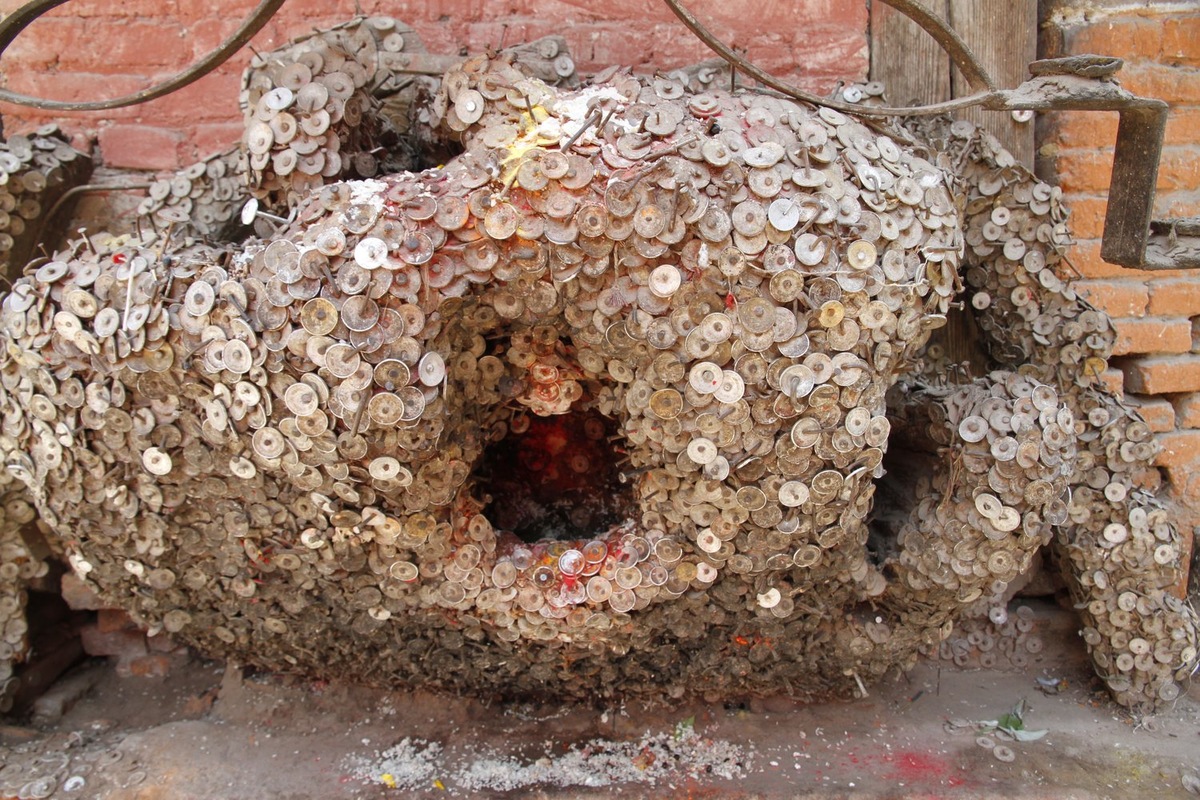 То самое бедное священное дерево. 