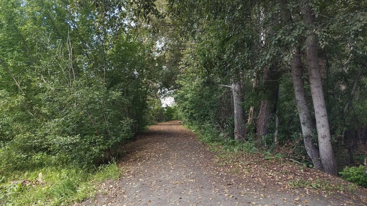     Источник: Екатерина Овчинникова/kursdela.biz