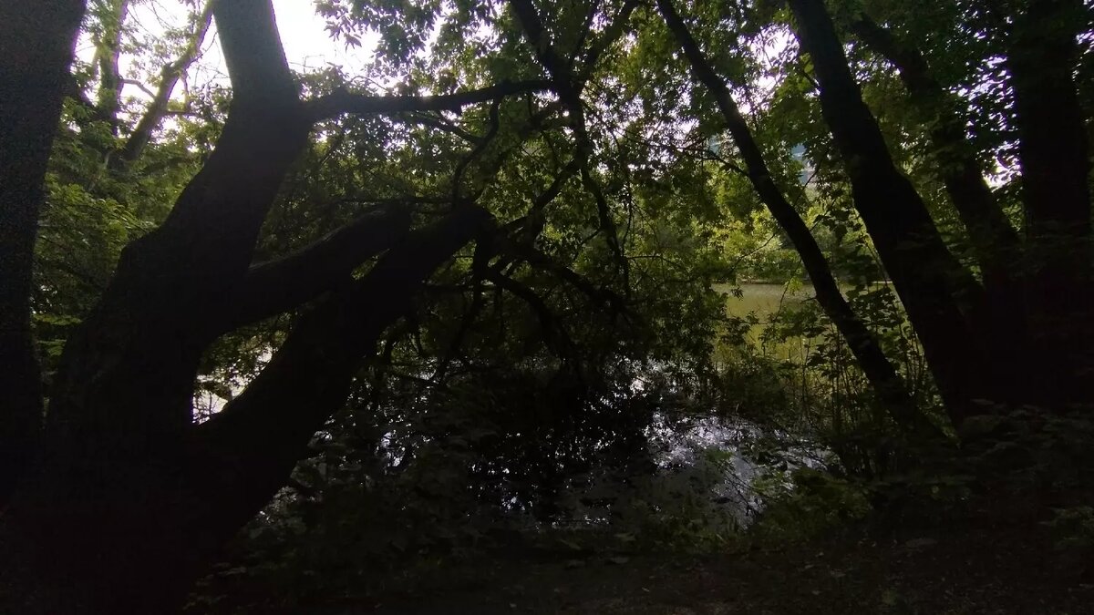     Источник: Екатерина Овчинникова/kursdela.biz