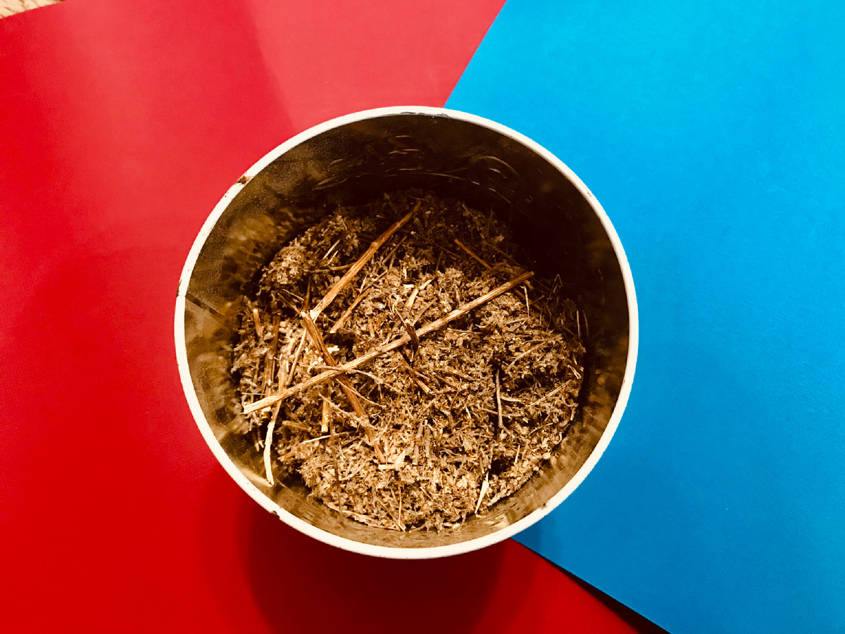 моя полынь.