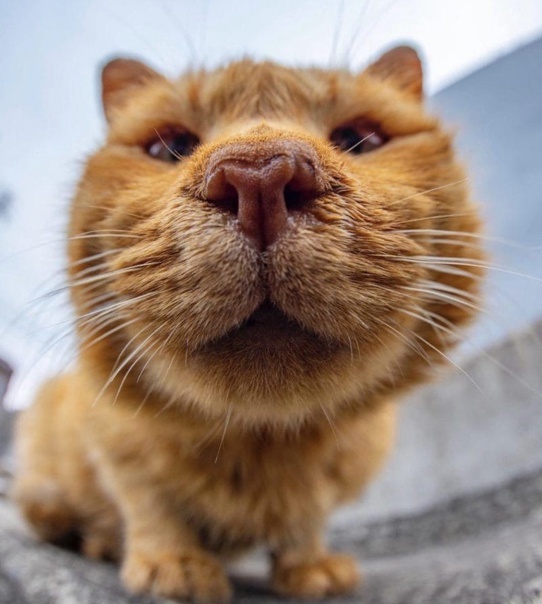 Изображение используется в иллюстативных целях