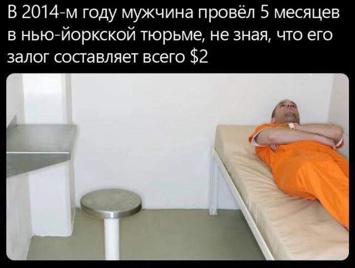 Взято с канала Адвомемы