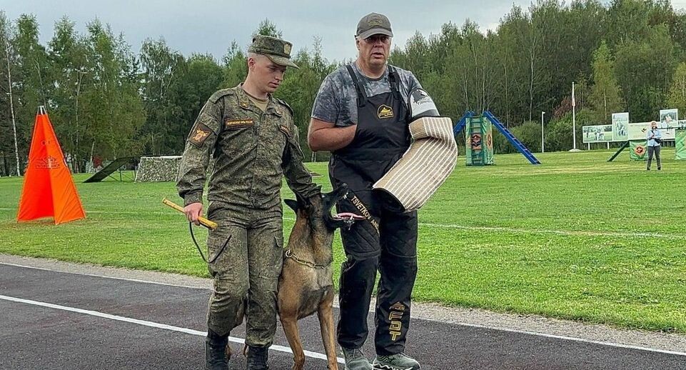    Губернский колледж