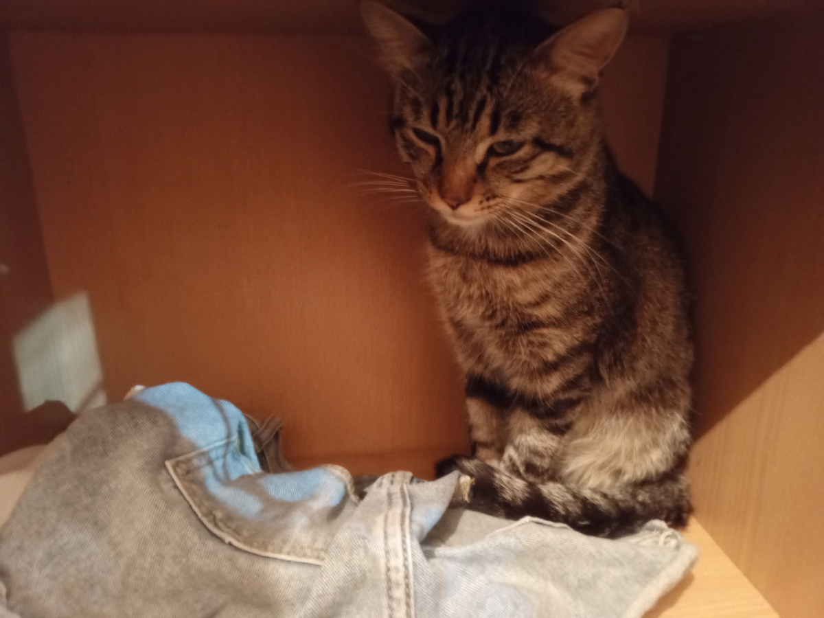 Гриша в рабочей полке. Разбудили