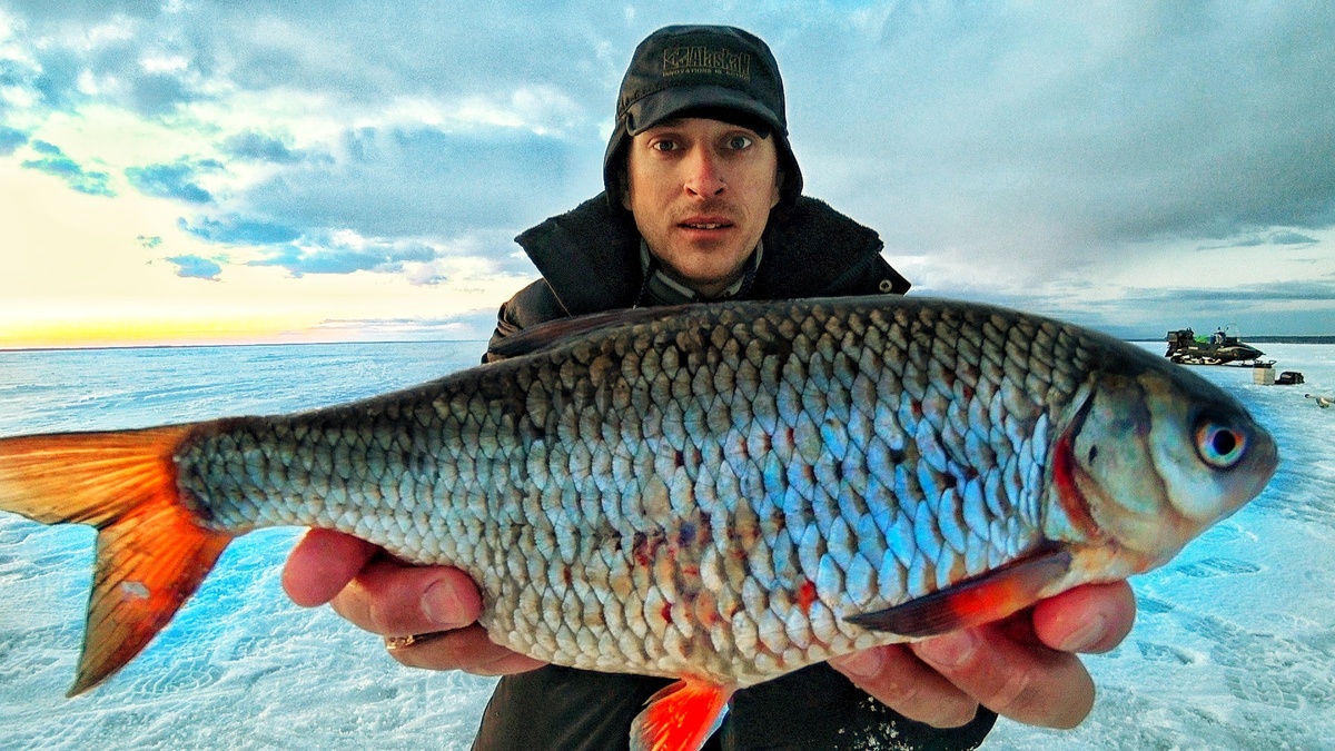 Сорога 780гр Горе Море