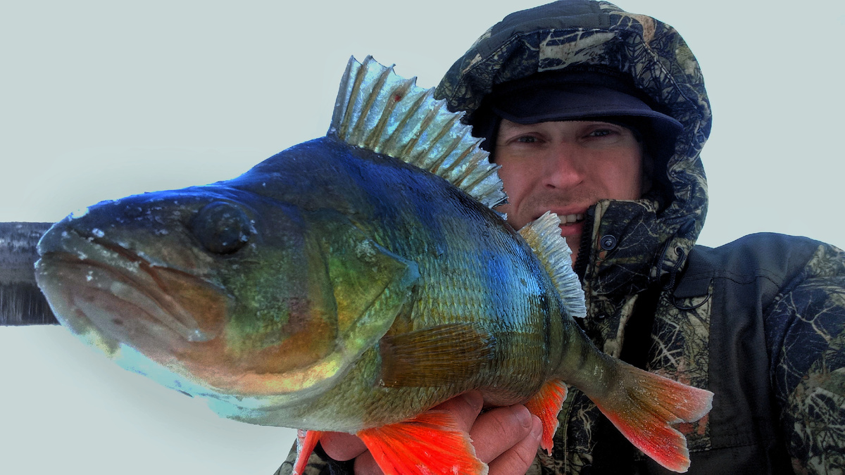 Окунёк 1030гр