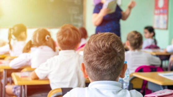    Депутаты предложили сделать платным образование для детей мигрантов Алина Городниченко