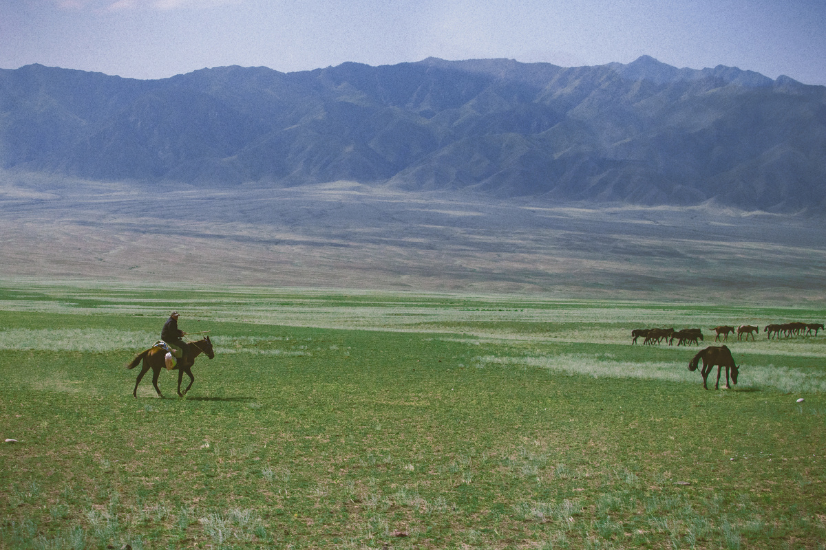 Бартогайское водохранилище (окрестность)