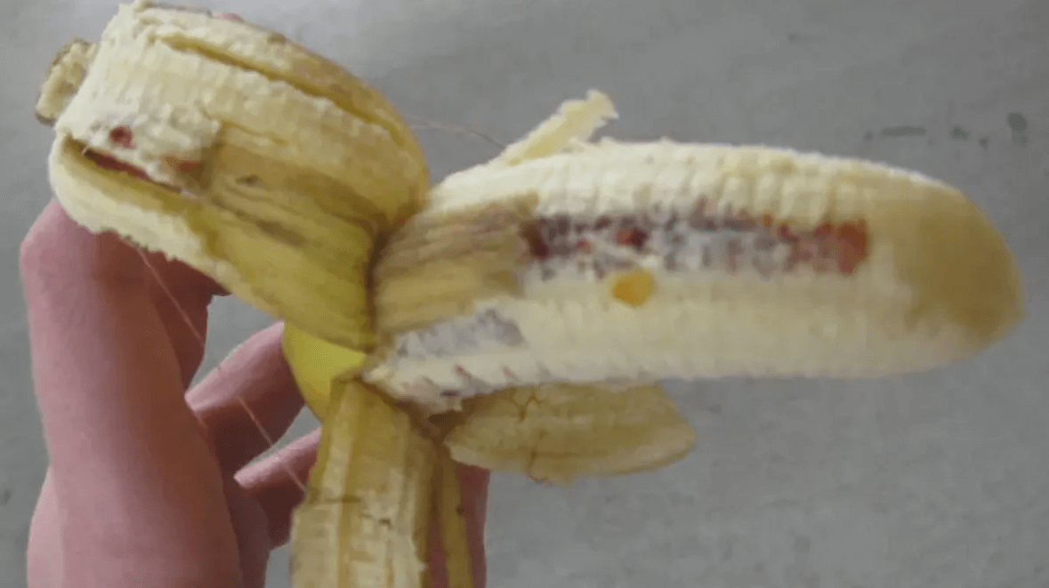    Причиной бордовых пятен является грибок Nigrospora. Источник фото: snopes.com