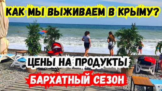 КАК МЫ ЖИВЁМ в КРЫМУ? Цены на Продукты! Бархатный сезон, Ялта сегодня, море, пляж. Из Польши в Россию. Жизнь в Крыму