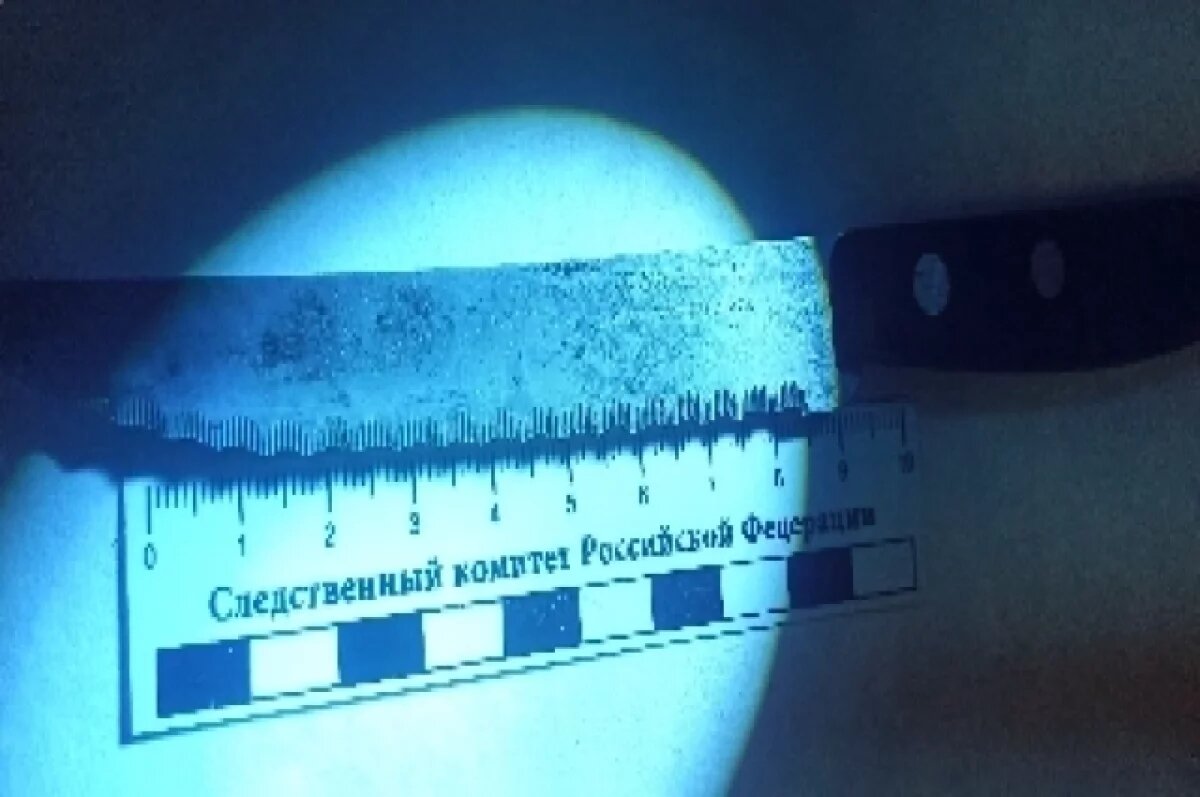    Жительницу Курганской области обвинили в покушении на убийство сожителя