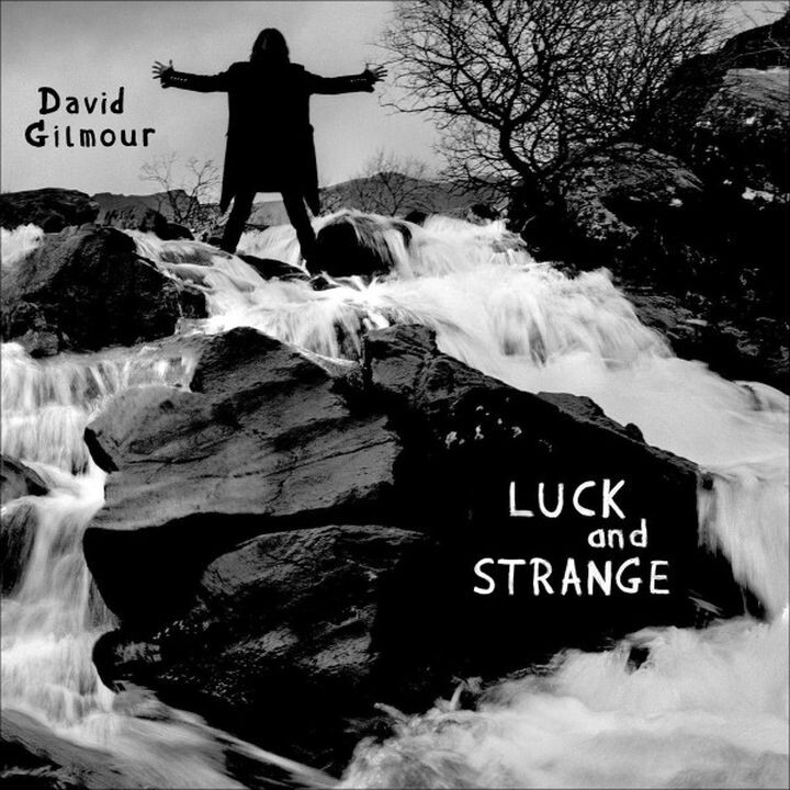 Обложка альбома «Luck и Strange». Фото из открытых источников
