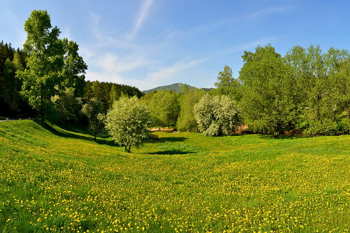 Природа Алтайского края