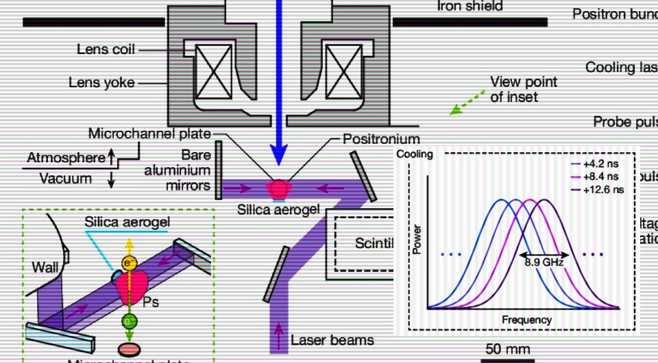   N + 1; Kosuke Yoshioka et al. / Nature, 2024