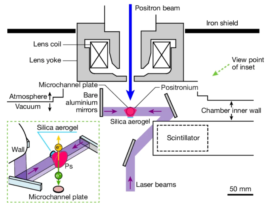   Kosuke Yoshioka et al. / Nature, 2024