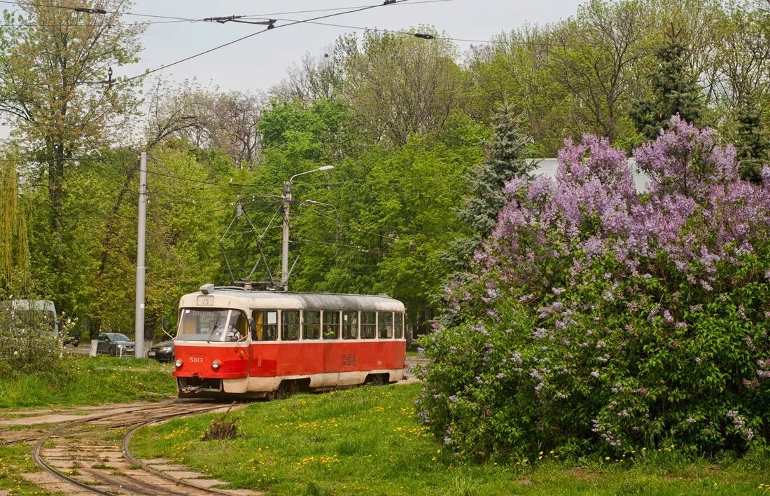 В воздухе действительно пахло весной, пели птицы и сияло солнце.