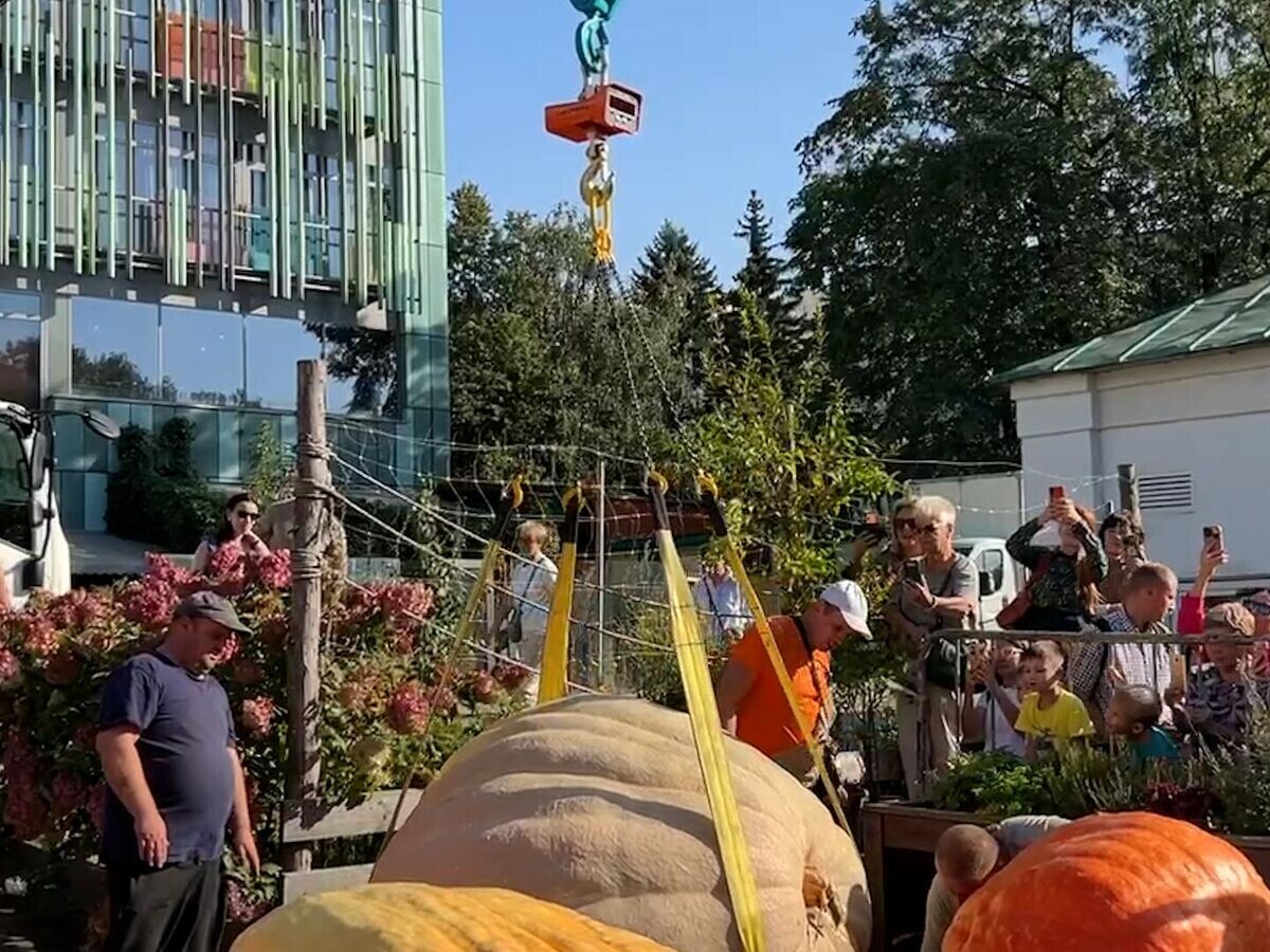    Самая большая тыква на выставке гигантских овощей в Москве© РИА Новости