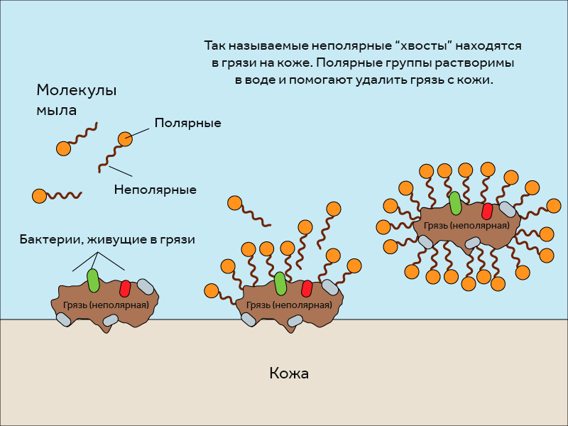 Как мыло удаляет грязь