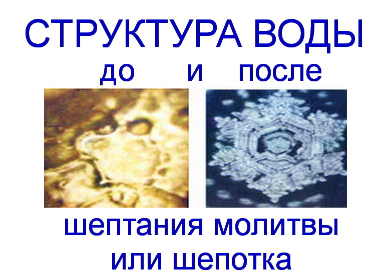 Фото: Яндекс картинки. Картинка 2