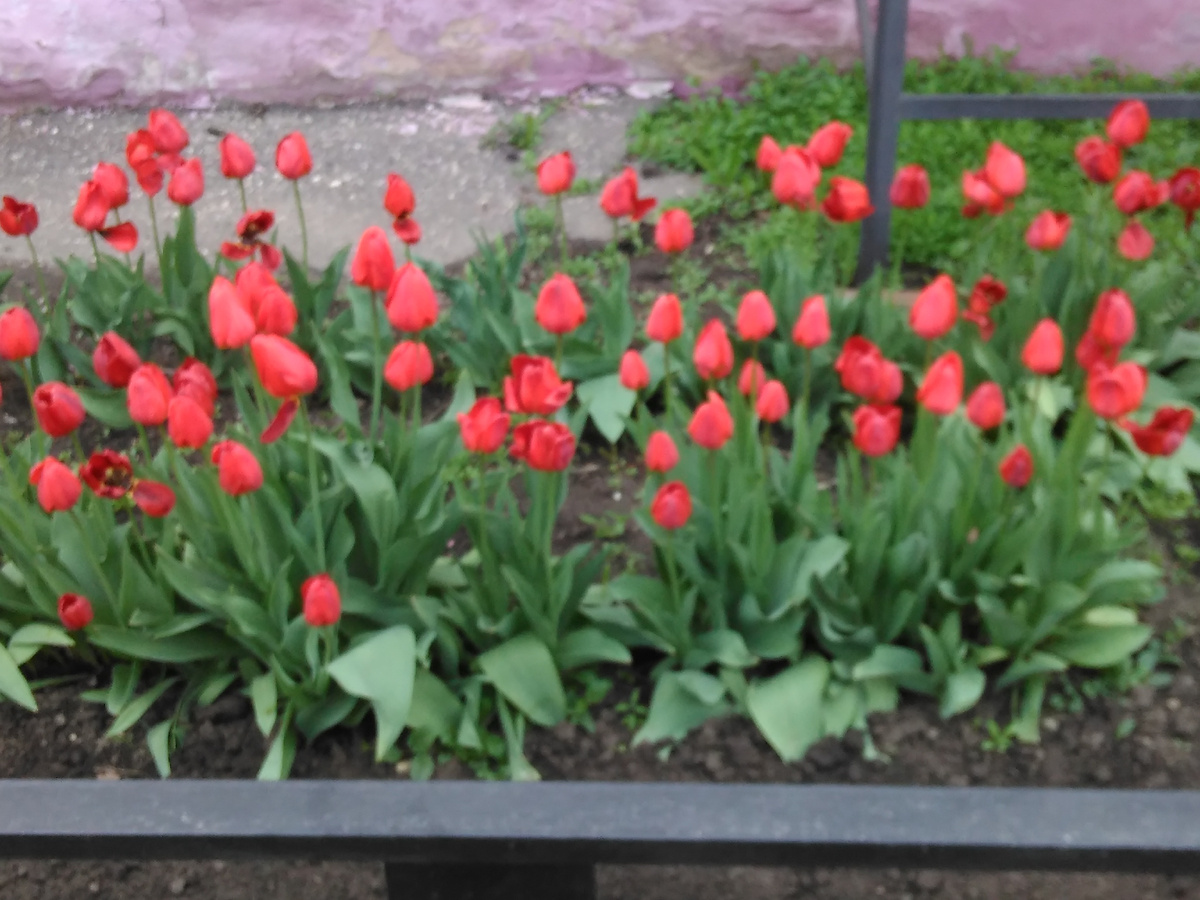 из личного архива