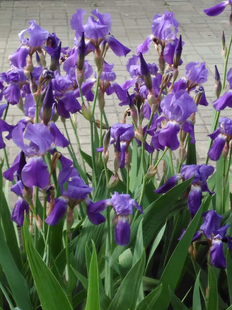 из личного архива.