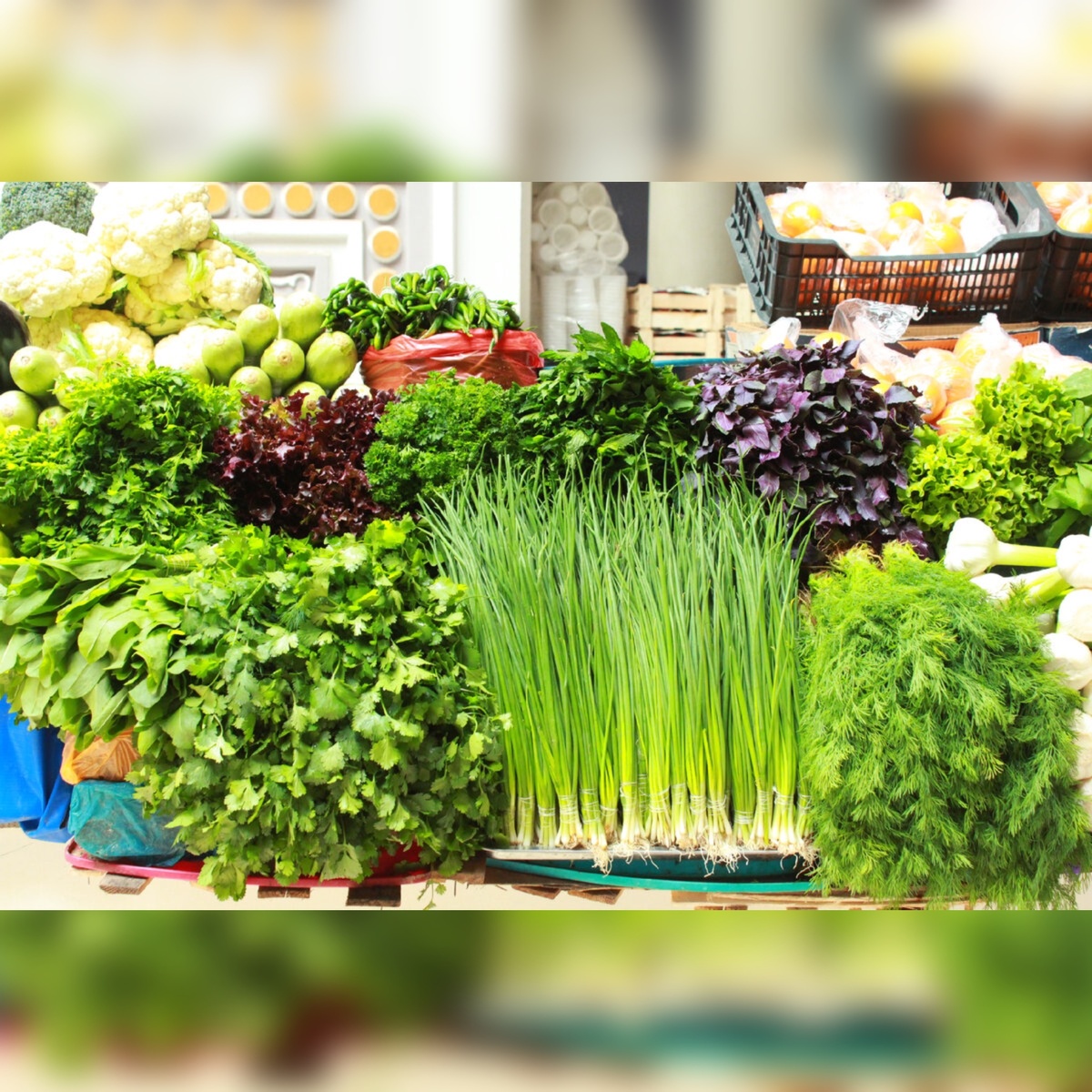 ИЗОБРАЖЕНИЯ: яндекс картинки