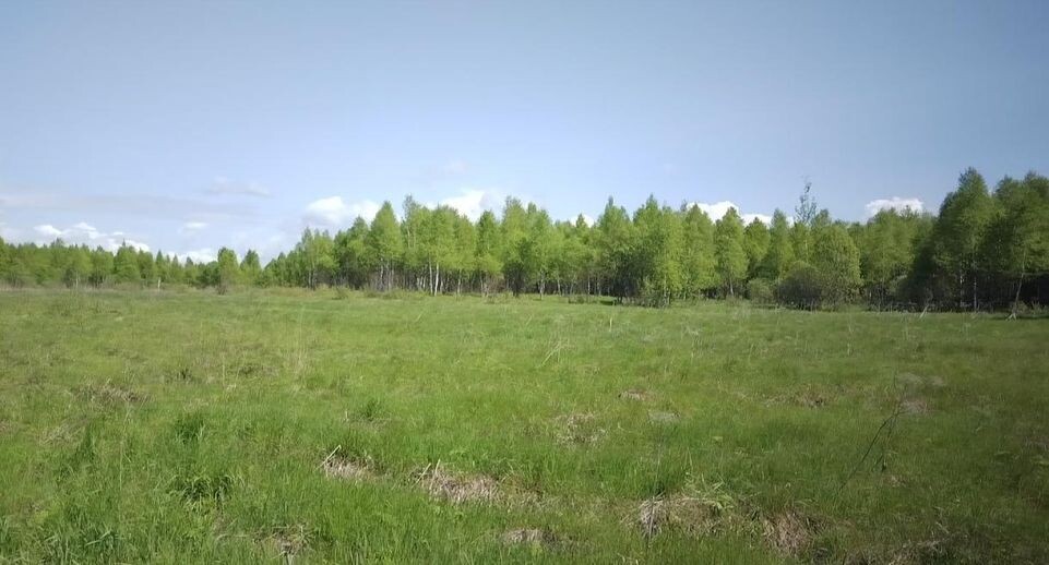    Фото минимущества