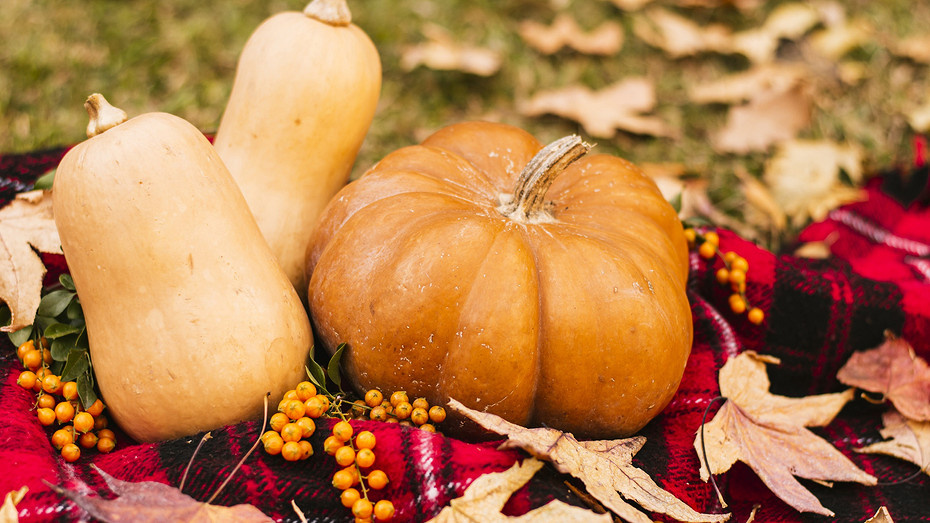     Источник здесь и далее: freepik.com