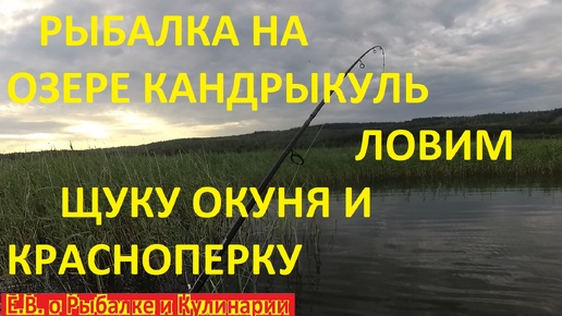 РЫБАЛКА НА ОЗЕРЕ КАНДРЫКУЛЬ 2024 С ЛОДКИ, ЧТО ПОЙМАЕМ ТО И ЛОВИМ А ЛОВИМ ЩУКУ, ОКУНЯ И КРАСНОПЕРКУ.