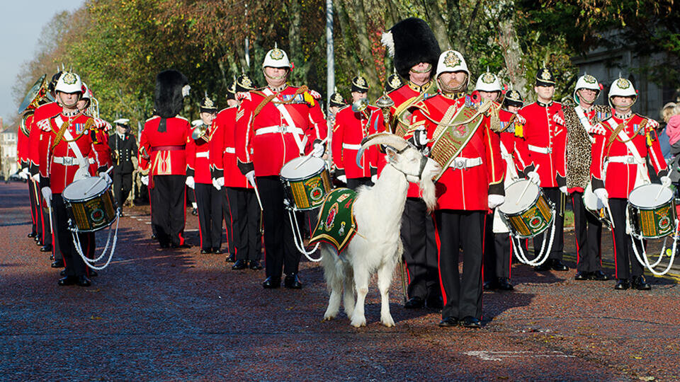 Фото: © GLobal Look Press/Ian Homer/ZUMAPRESS.com