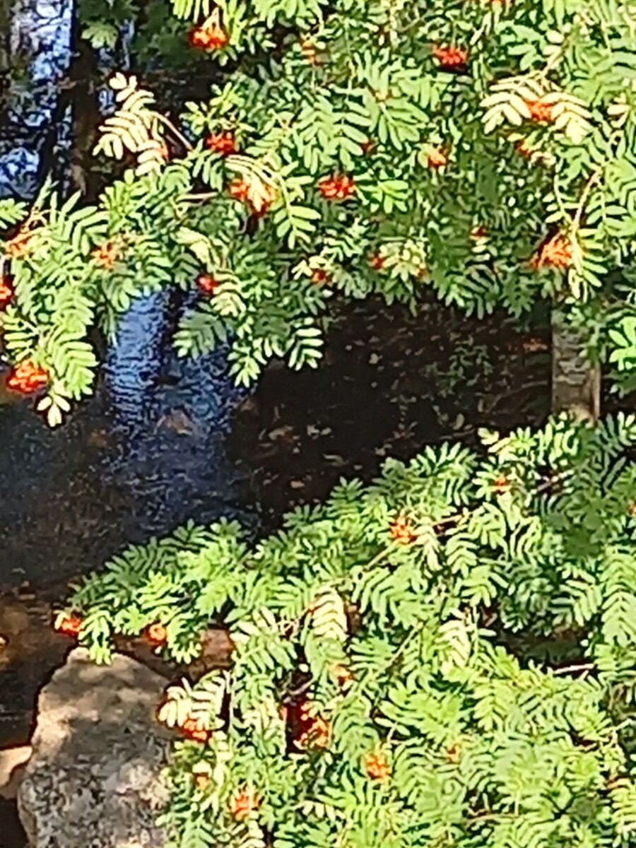 Последние дни лета